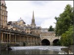IMG_1531