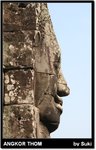 �d����116