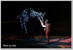 IMG_7832