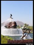 IMG_3318