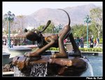 IMG_3322
