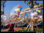IMG_3323