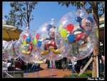 IMG_3324
