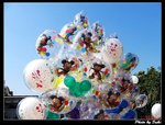 IMG_3325