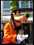 IMG_3332
