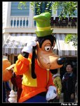 IMG_3333