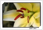 IMG_7794