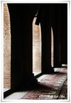 IMG_0670