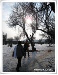 IMG_3517