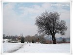 IMG_3642
