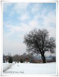 IMG_3643