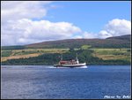 IMG_1243