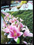 �s������ 