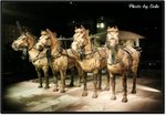 IMG_5060a