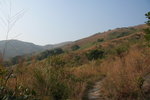 IMG_0055
