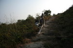 IMG_0061