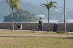 IMG_0224
