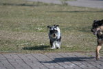 IMG_0230