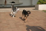 IMG_0257