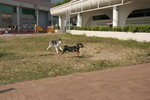 IMG_0267