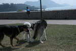 IMG_0277