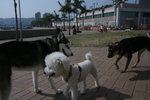 IMG_0278