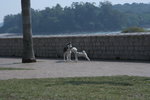 IMG_0279