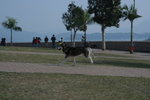 IMG_0280