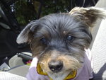 20071204004