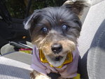 20071204005