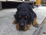 20071206008