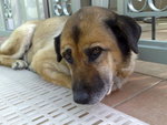 20071209024