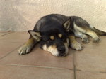 20071209027