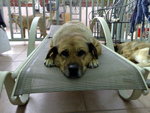 20071209034