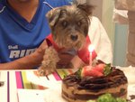 My baby BD 07