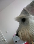 DSCN4787