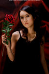 Cassie_Violin_2814