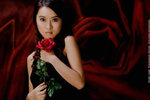 Cassie_Violin_2819