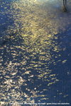 PICT0097-1