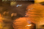 Fire_Dragon_Dance_2006_0066