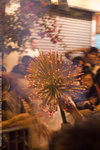 Fire_Dragon_Dance_2006_0180