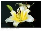 PICT0187-neo-1