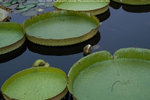 PICT0001
