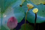 PICT0149