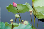 PICT0152