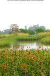 Nam_Sang_Wai_6140