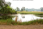 Nam_Sang_Wai_6443