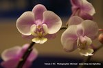 PICT0029-1