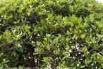 PICT0060