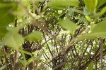 PICT0062